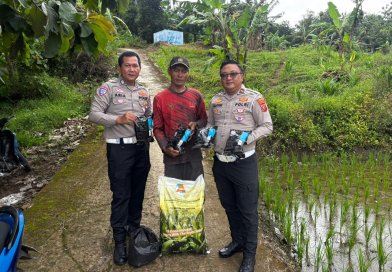 Dukung Program Swasembada Pangan Polres Kuningan Berikan Bibit Jagung Pada Petani