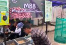 Budidaya Maggot, Solusi Atasi Masalah Sampah Rumah Tangga sekaligus Peluang Usaha