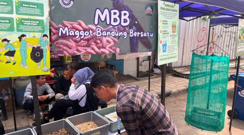 Budidaya Maggot, Solusi Atasi Masalah Sampah Rumah Tangga sekaligus Peluang Usaha