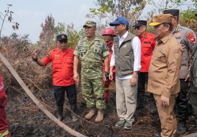 Hotspot Bergeser ke Sumatera, Menhut Raja Antoni: Data Karhutla Sangat Dinamis