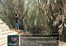 KEBAKARAN LAHAN DI PADAHERANG PANGANDARAN, 1,5 HEKTARE PERKEBUNAN TERBAKAR