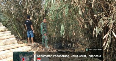 KEBAKARAN LAHAN DI PADAHERANG PANGANDARAN, 1,5 HEKTARE PERKEBUNAN TERBAKAR