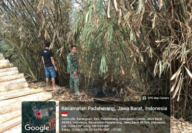 KEBAKARAN LAHAN DI PADAHERANG PANGANDARAN, 1,5 HEKTARE PERKEBUNAN TERBAKAR
