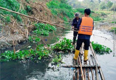 PT SMM Bersama Masyarakat Bersihkan Eceng Gondok di Sungai Cihaur, Wujud Nyata Kepedulian terhadap Lingkungan