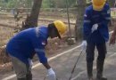 Untuk memperpanjang umur pelayanan jalan ppk 3.1 provinsi Jawa Barat melakukan peroses penambalan retakan jalan dengan metode sealant.